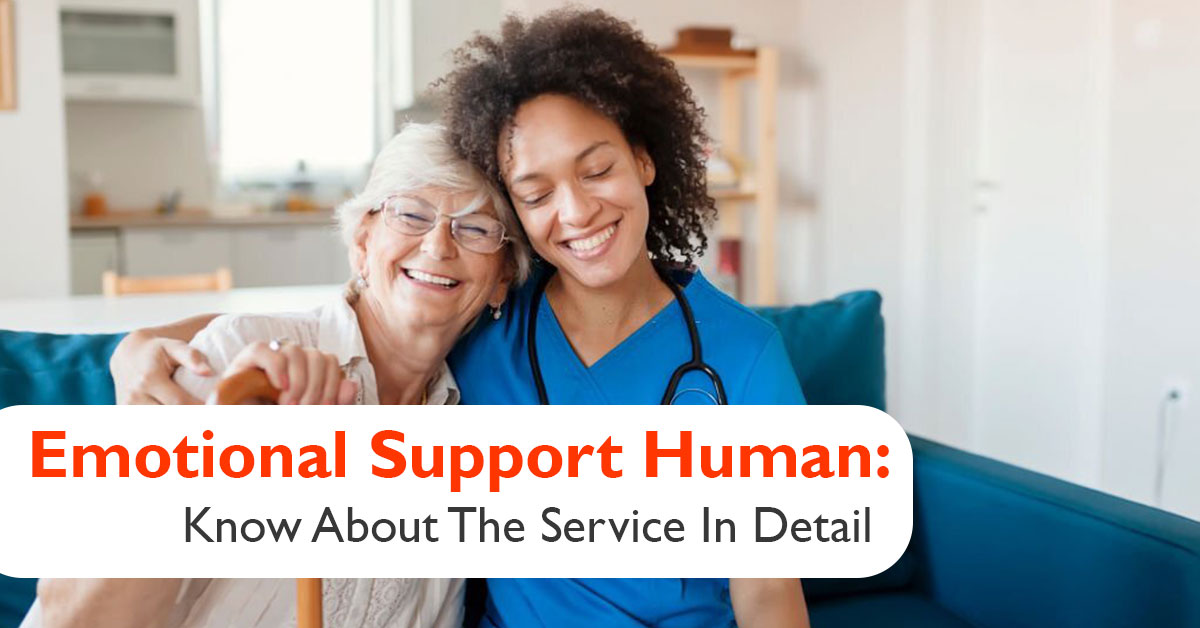 Emotional-Support-Human