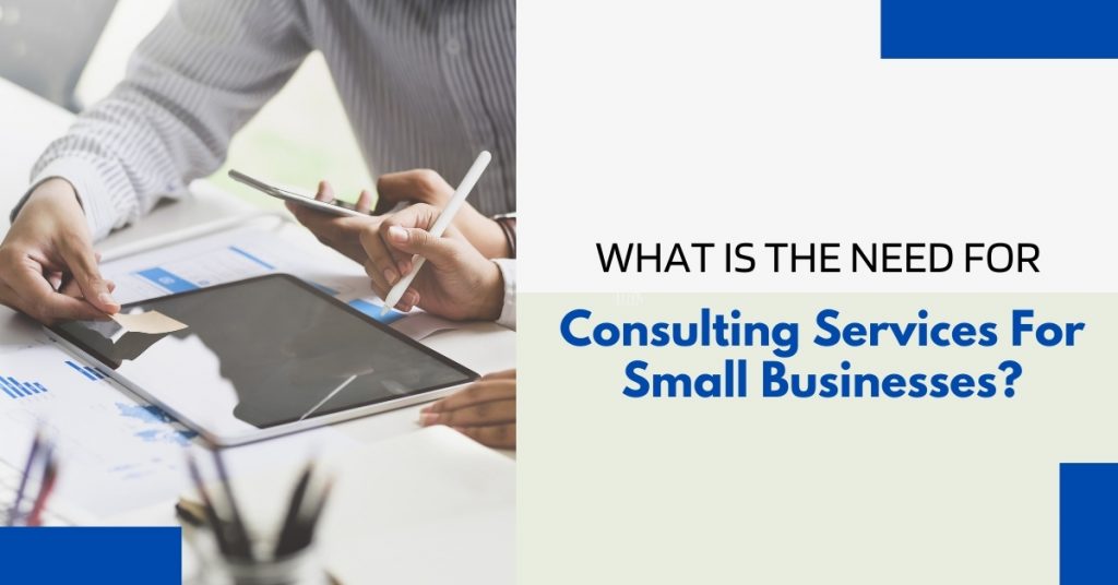 What Is The Need For Consulting Services For Small Businesses?